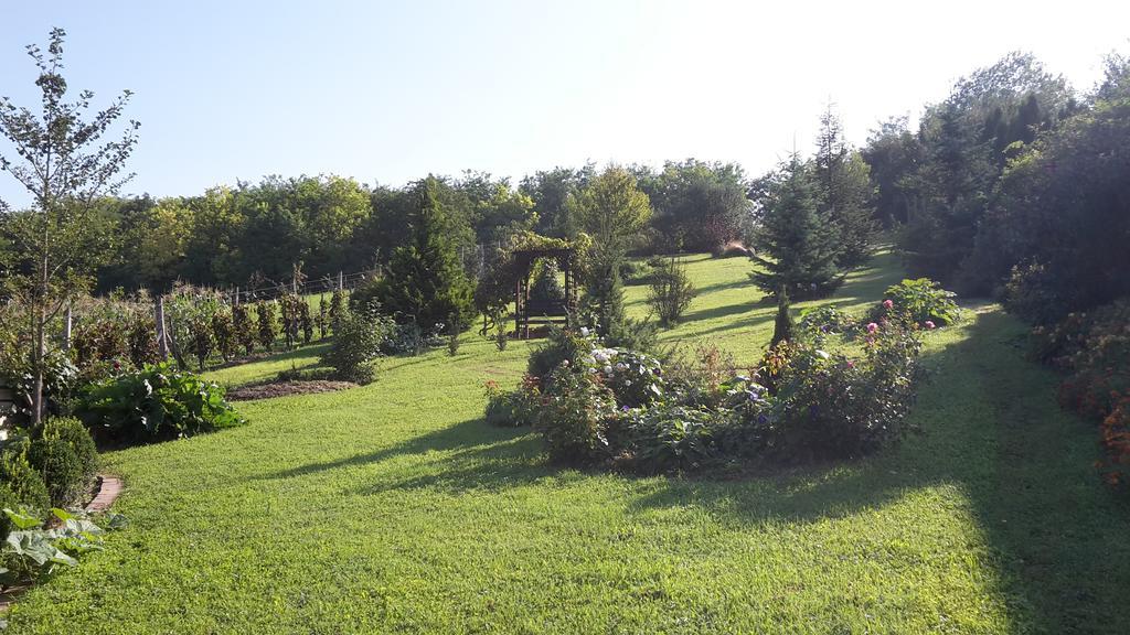Bundi Vendeghaz Otel Kehidakustány Dış mekan fotoğraf